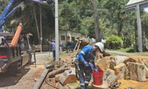 Instalación de postes y luminarias LED en el parque principal de Villa Restrepo, Ibagué